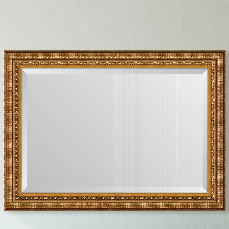 Melissa Van Hise Gold Resin Frame Wall Mirror Wayfair